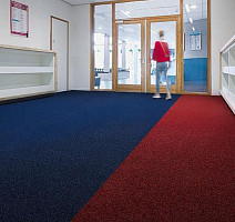 Forbo Coral Bright